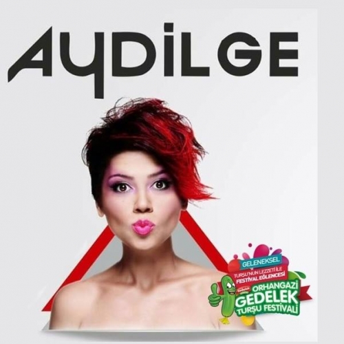 Üçüncü Orhangazi Gedelek Turşu Festivali Başlıyor