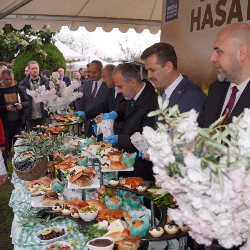 Orhangazi‘de Zeytin Mucizesi 45. kez Hasatla Buluştu