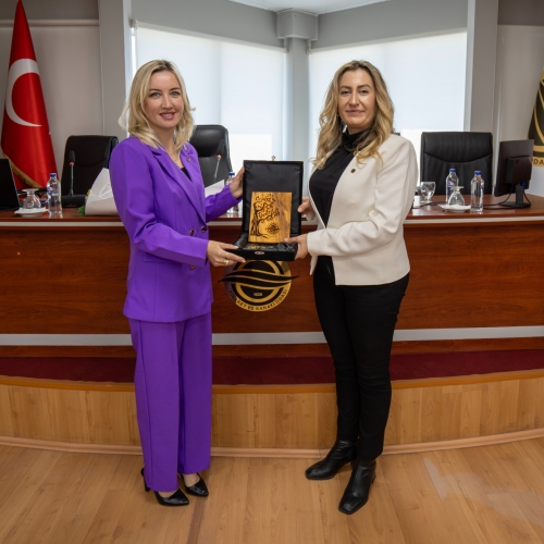 Girişimcilik ve Mesleki Gelişim Mentörlük Ağı projesi